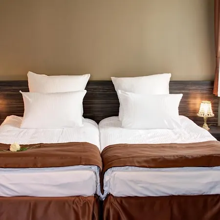 Palac Hotel Brzezina